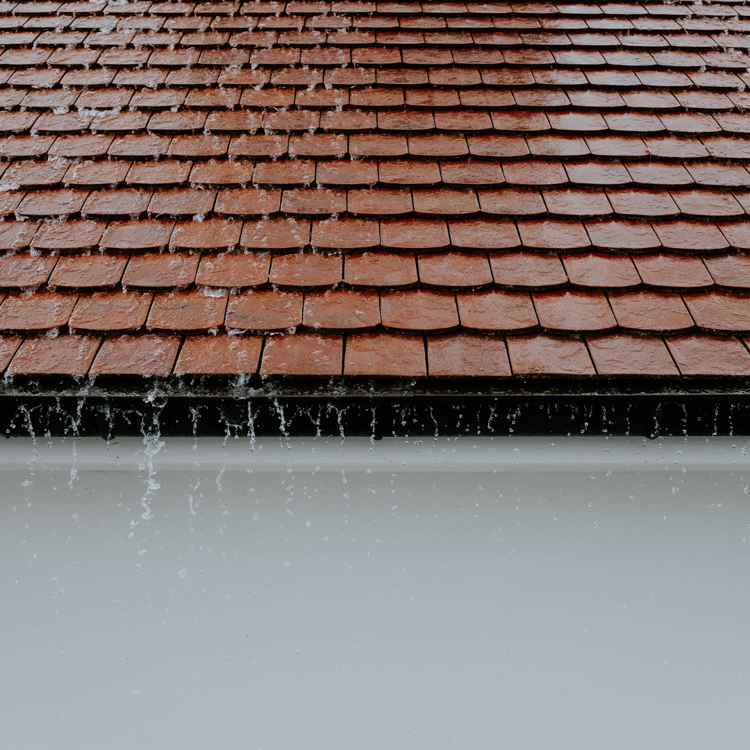 La récupération d'eau de pluie